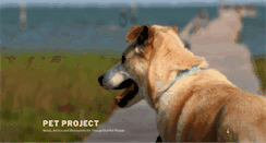 Desktop Screenshot of petprojectblog.com